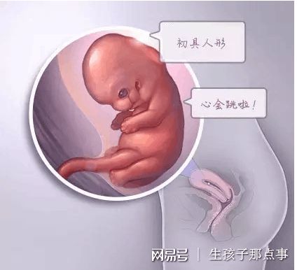 男科